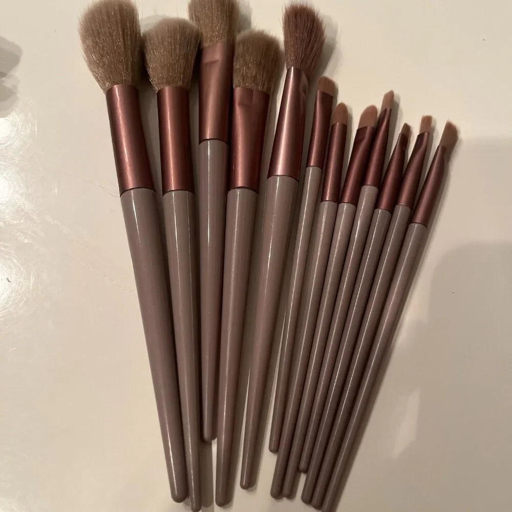 Make-Up Brushes (12) and Scalp‎ Massager (new) (w/a/x)
